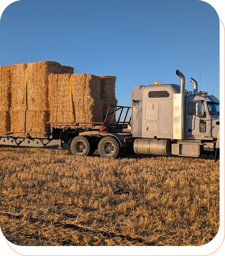 Custom Trucking And Baling Services in Lethbridge