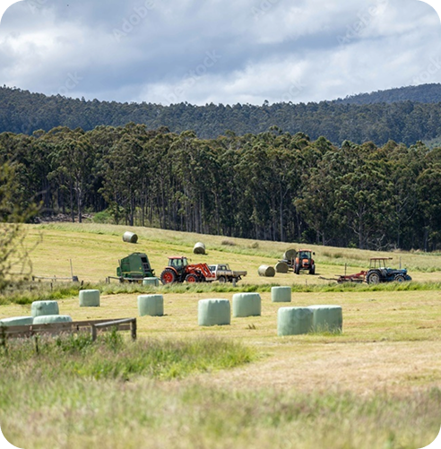 Baling Services in Lethbridge